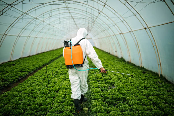 Best Ant Control Services  in Selma, TX