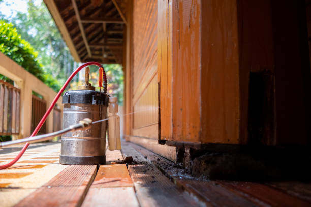 Best Termite Control Services  in Selma, TX