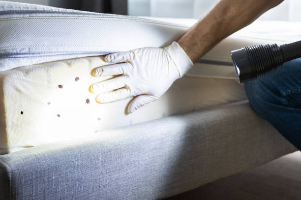 Best Commercial Pest Control Services  in Selma, TX