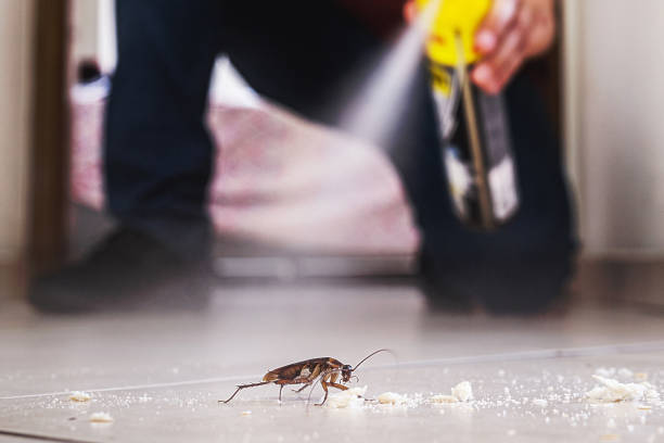 Best Pest Control Treatment  in Selma, TX