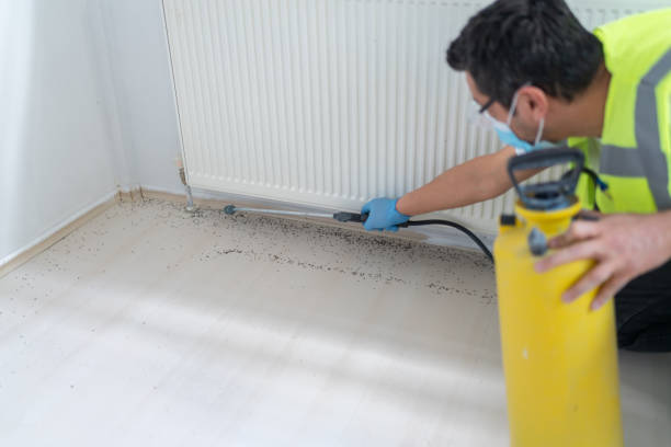 Best Mosquito Control Services  in Selma, TX