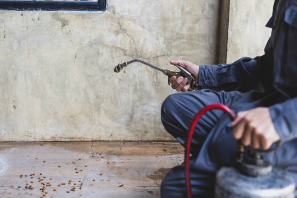Pest Control Cost in Selma, TX