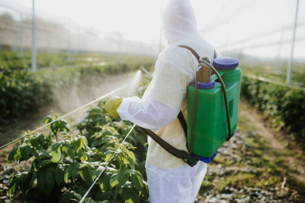 Best Bed Bug Extermination  in Selma, TX